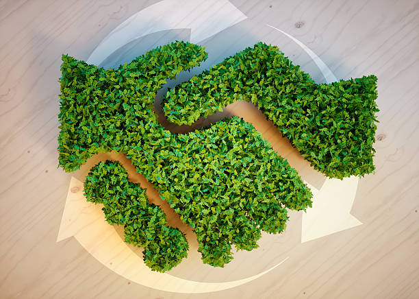 Sustainability project